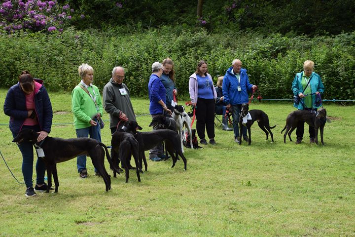 primchurch kennels