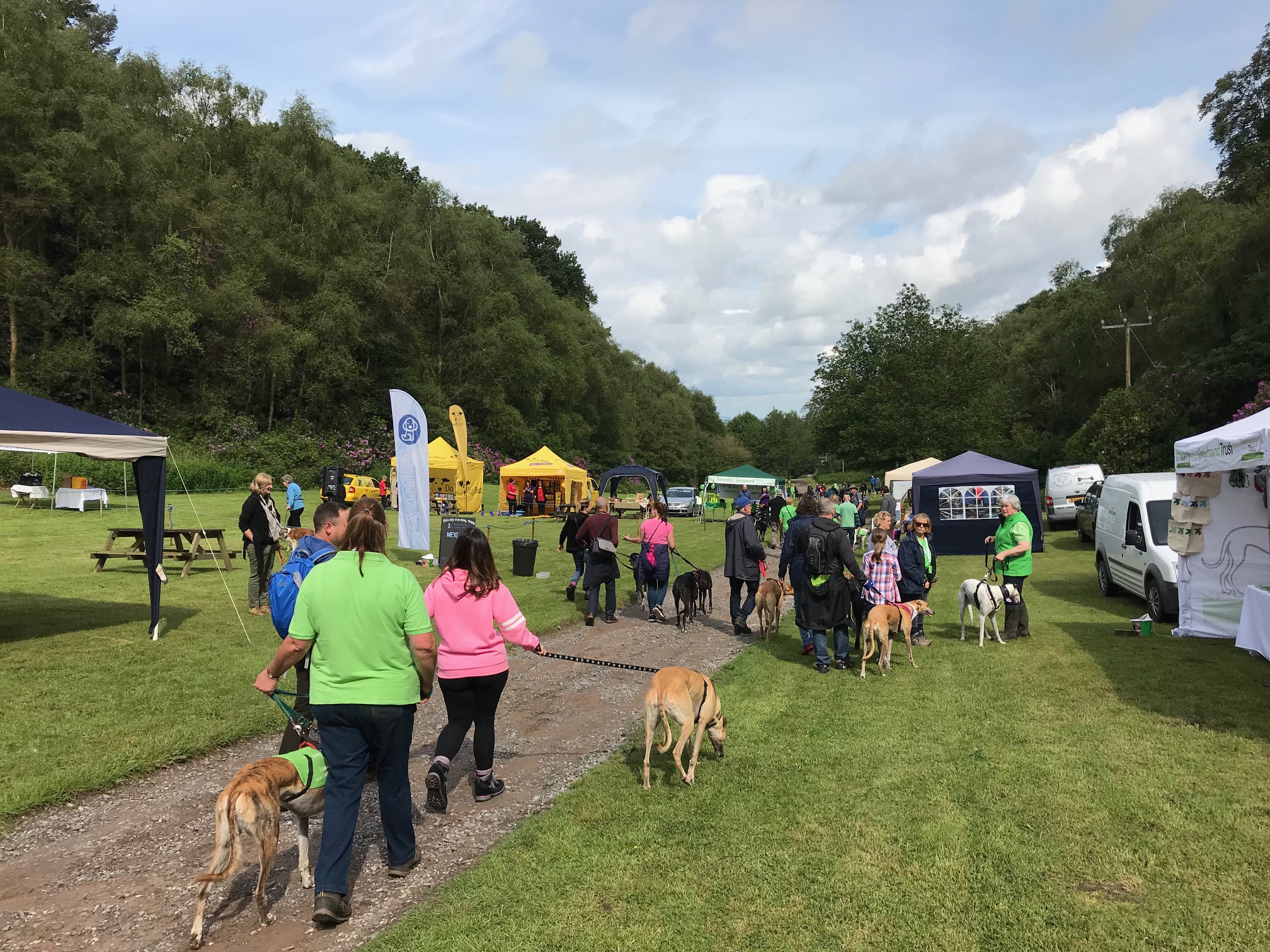 Follies Fun Dog Show Grand Valley June 2019