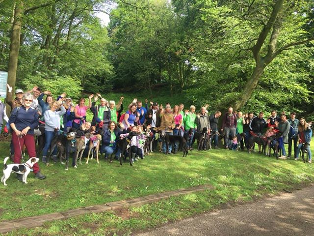 Successful doggy fundraising day!