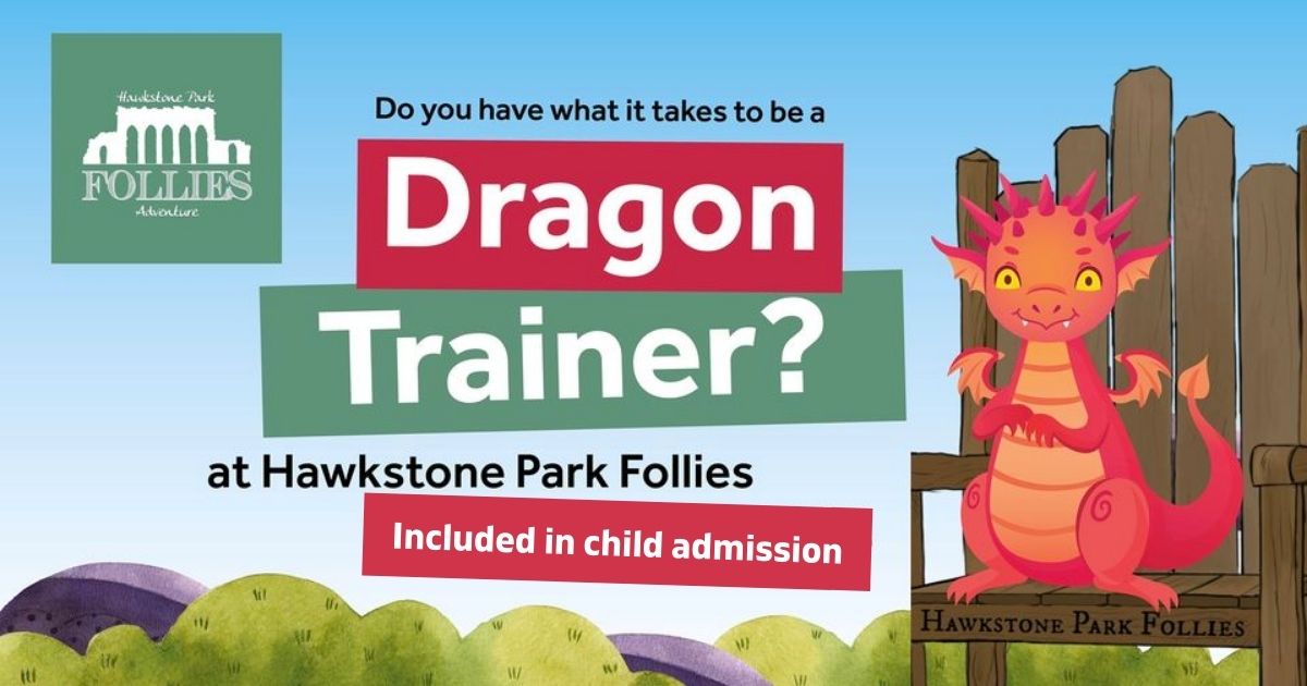 Dragon Trainer (FREE activity)